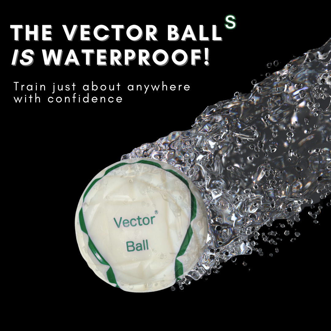 Vector® Ball S